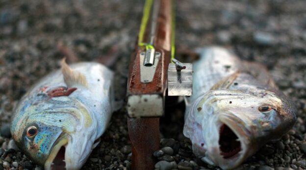 How Do You Use A Fish Stringer For Spearfishing